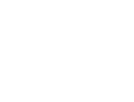 Yves Saint Laurent